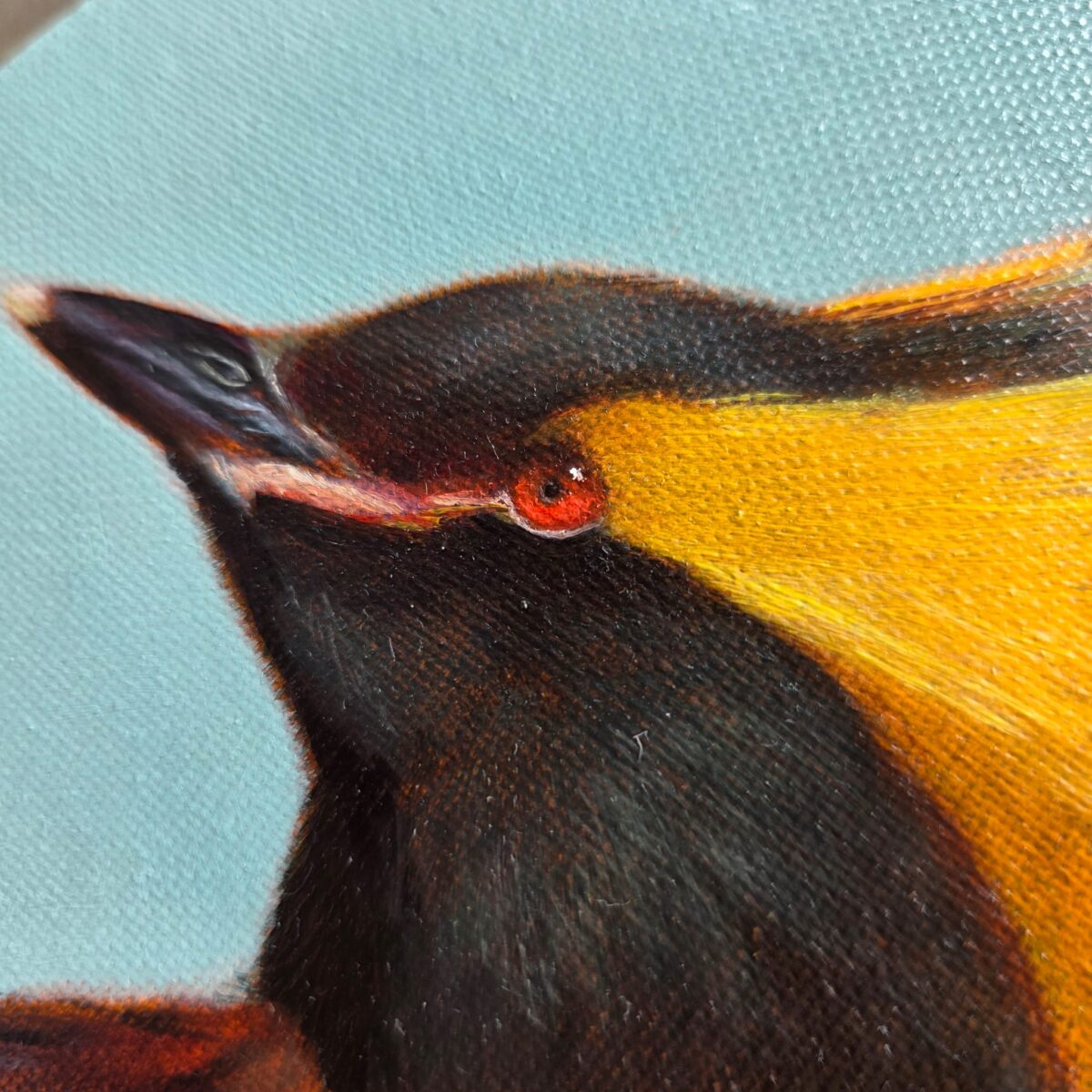 Horned grebe painting